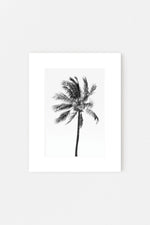 Marine Parade Palm Memento Print