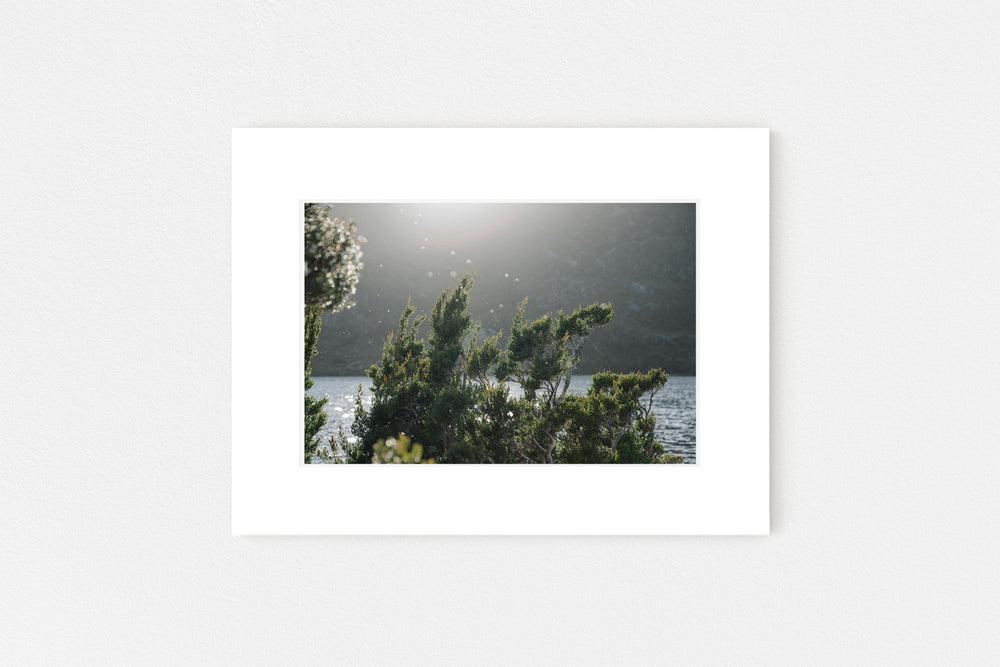 Dove Lake Memento Print